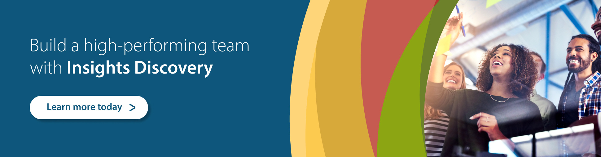 Build a high performing team with Insights Discovery_970 x 254px-1