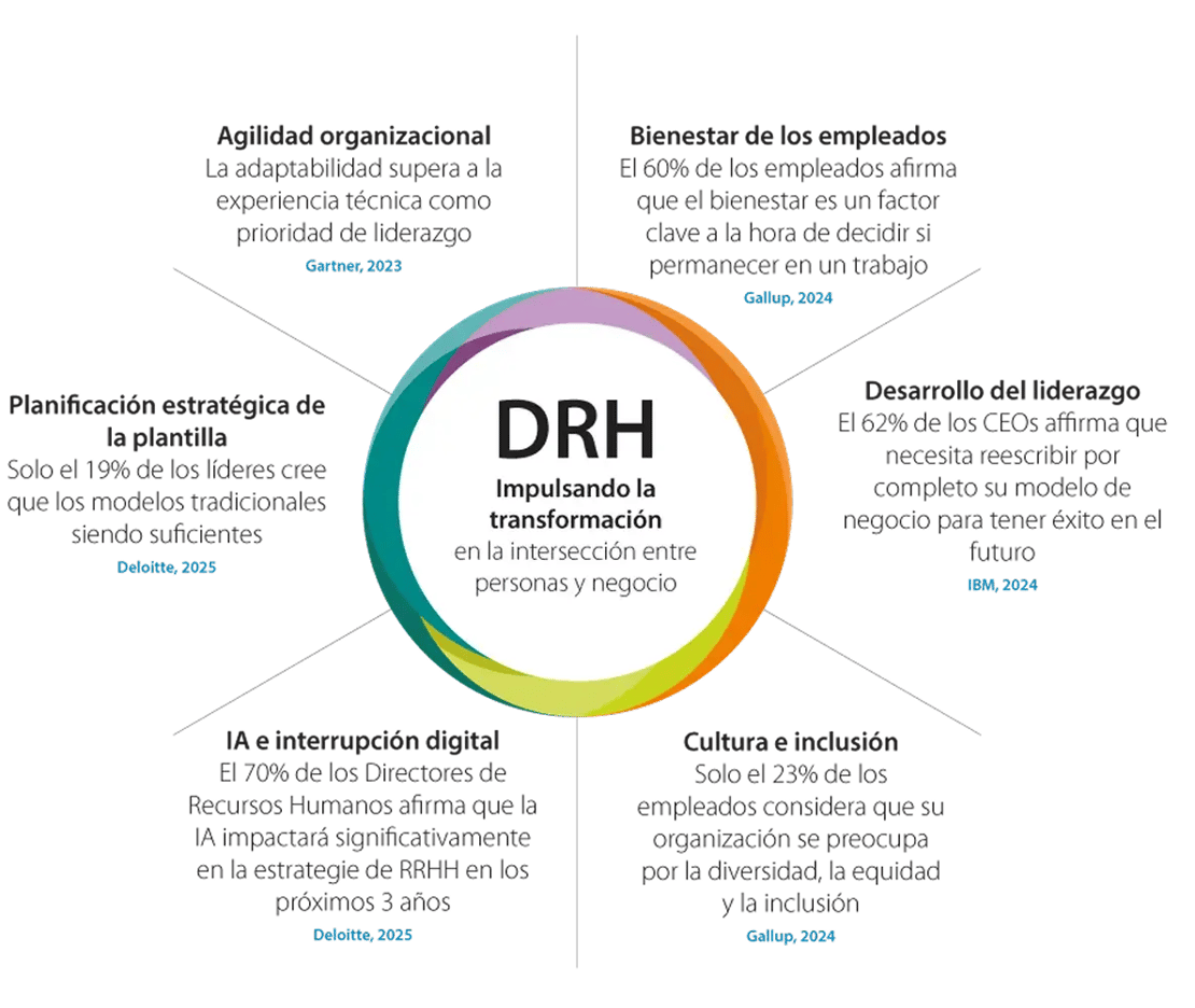 CHRO ES infographic