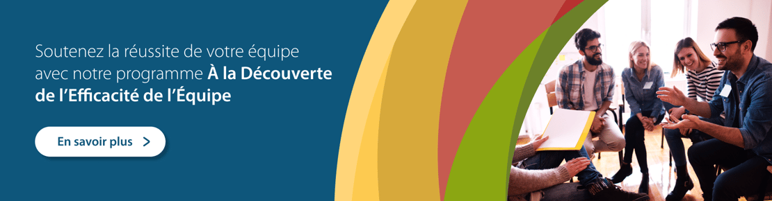 Support your teams success with Discovering Team Effectiveness_970x254-1