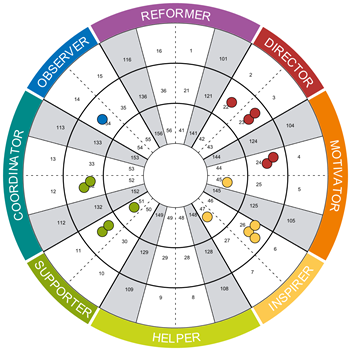 Insights Archetype Team Wheel