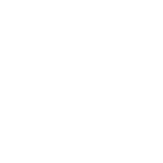 Lightbulb icon